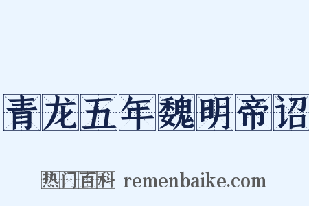 青龙五年魏明帝诏是什么意思的图片